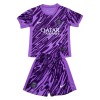 Oficiální Fotbalový Dres Brankářské Paris Saint-Germain Purple Version 2024-25 pro Děti